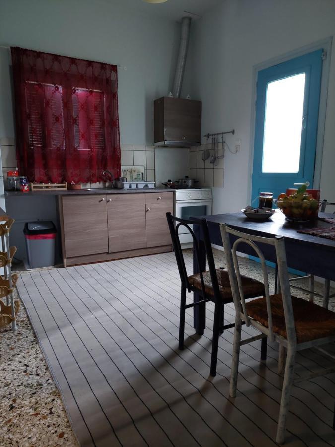 利昂尼迪翁Nala'S House公寓 外观 照片